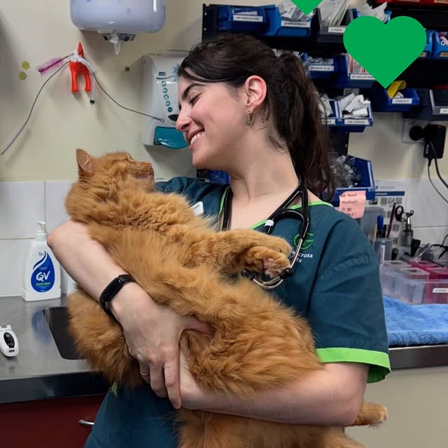 Post by greencrossvets