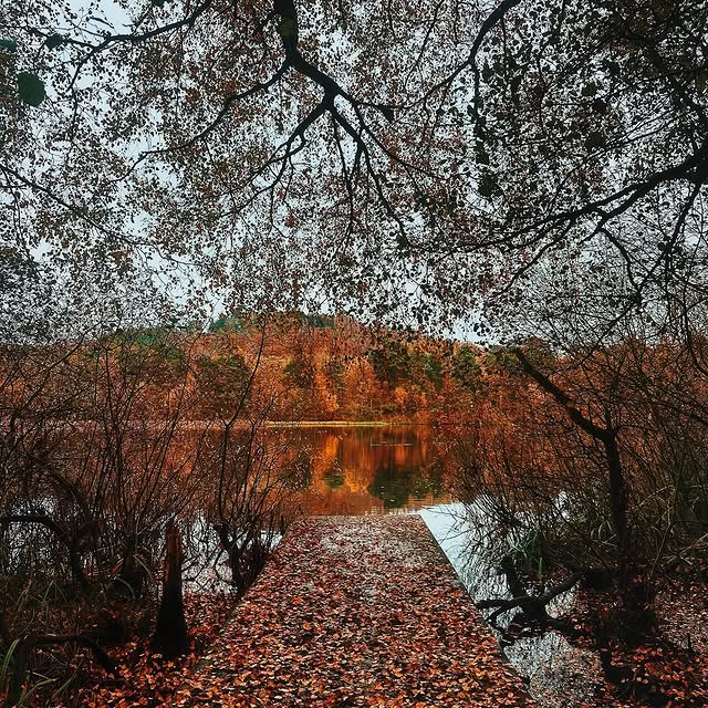 Post by halffullhattie