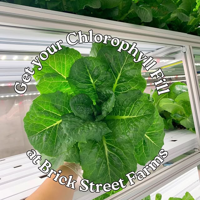 Post by brickstreetfarms