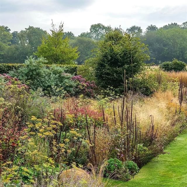 Post by gardening.paeet