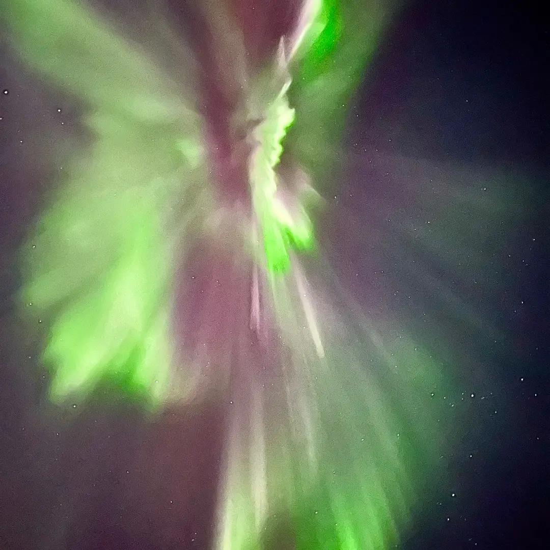 icelandstation's profile picture