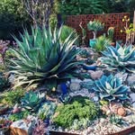 Wayne's profile picture