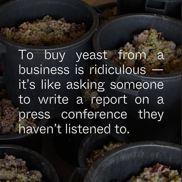 Post by littlewine.io