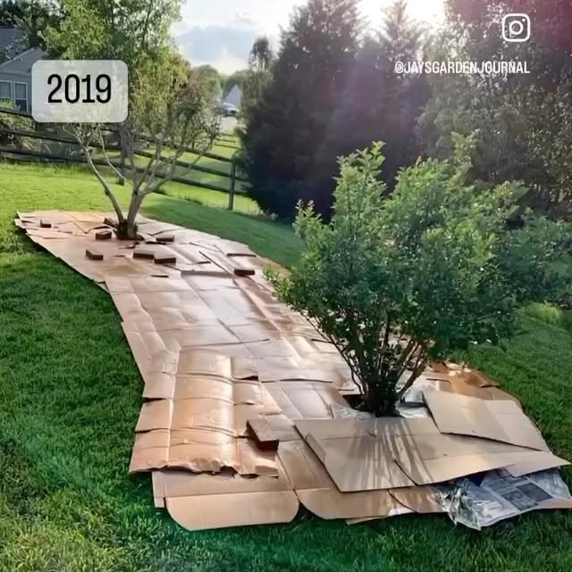 Post by jaysgardenjournal