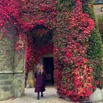 Explore & Dine Yorkshire's profile picture