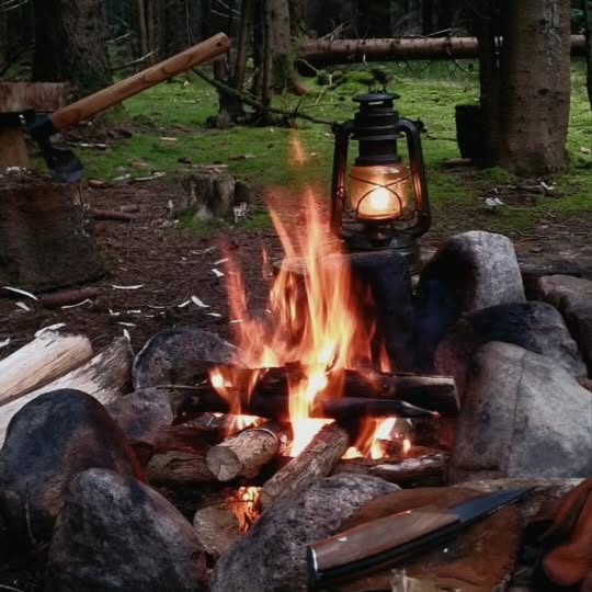 Post by 5000dennis_nature