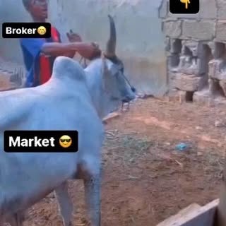 Post by islamic_share_market