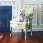 Phaedra's profile picture