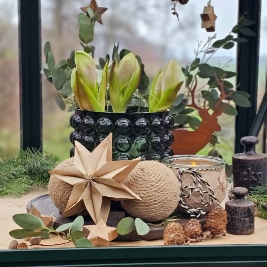 Post by tashas_garten