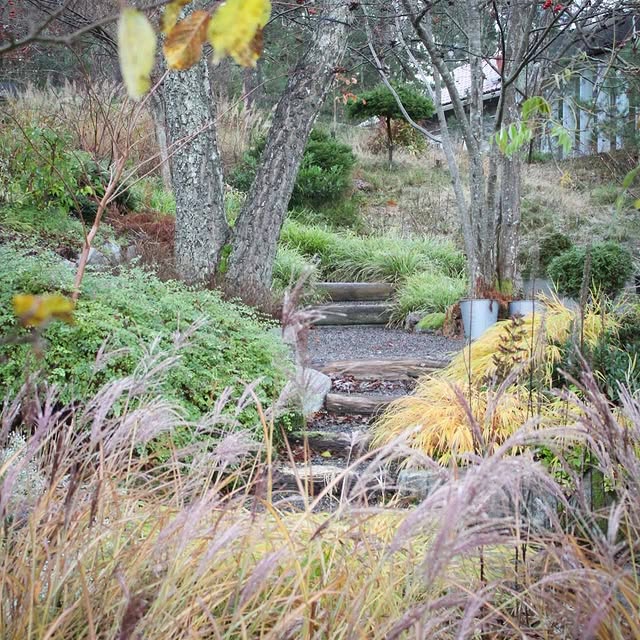 Post by themoosegarden