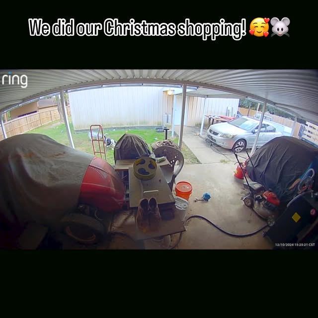 Post by sirbassetwinston