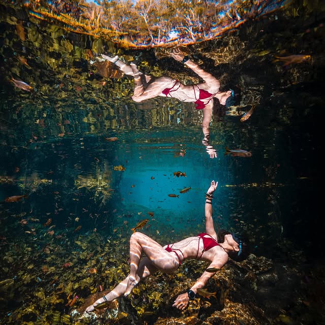 Post by zhuzhu_swazeny