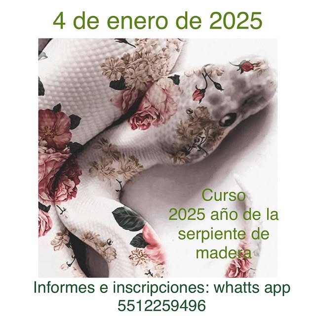 Post by monicakoppelgcfengshui