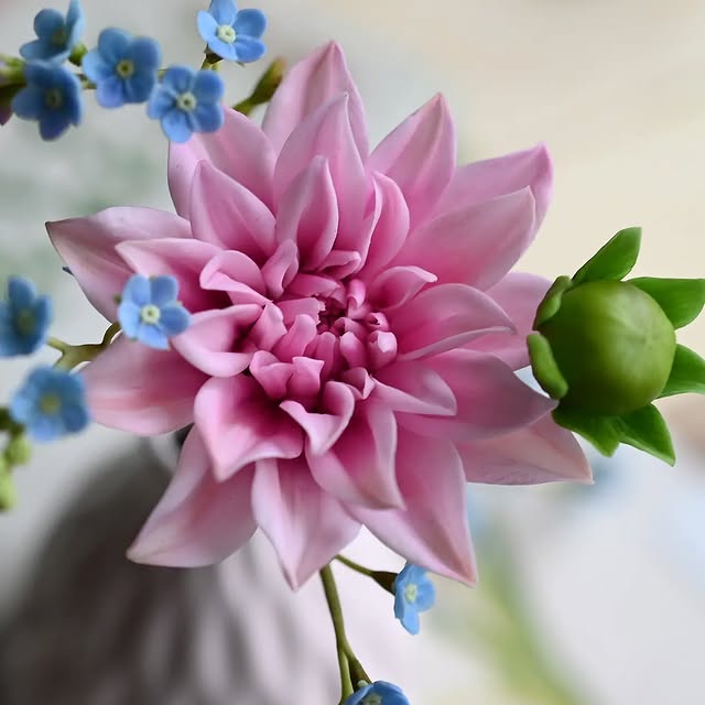 Post by svetasaz_flowers