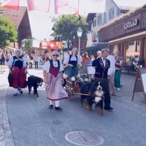 Post by switzerland.explores