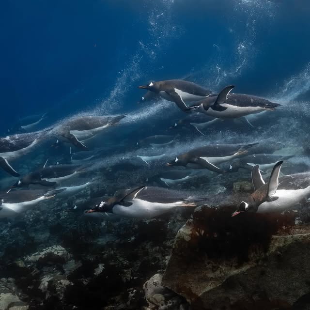 Post by jferraragallery