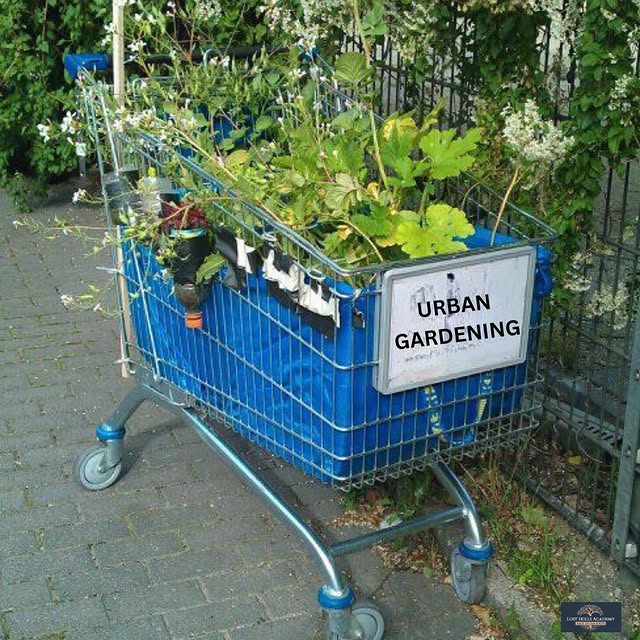 Post by thelostskillsacademy