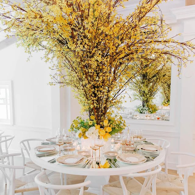 Post by rachelaclingen