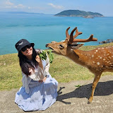 Tomatojen 🍅 | Food & Travel