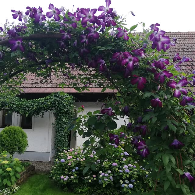 Post by gartenheidisuess