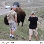TouronsOfYellowstone's profile picture