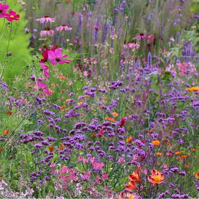 Post by patthana_garden