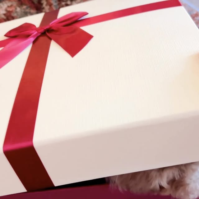 Post by thedailynest