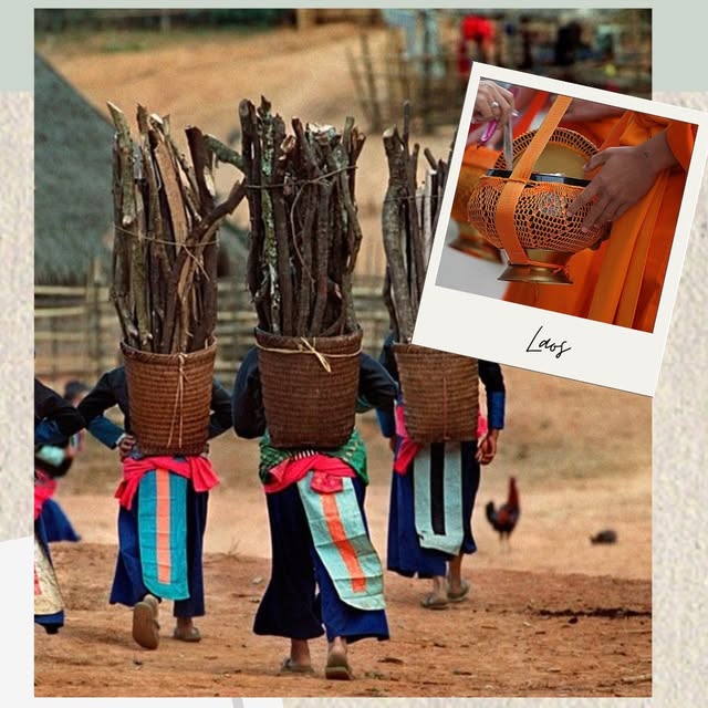 Post by _oasistravel