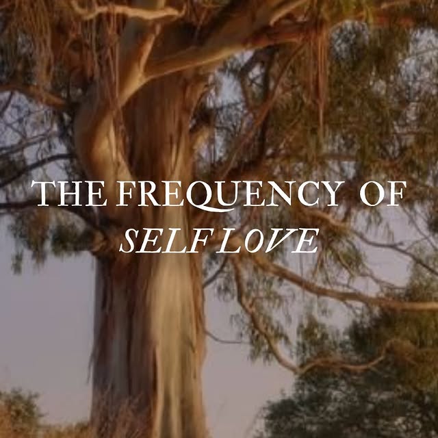 Post by shamansmarket