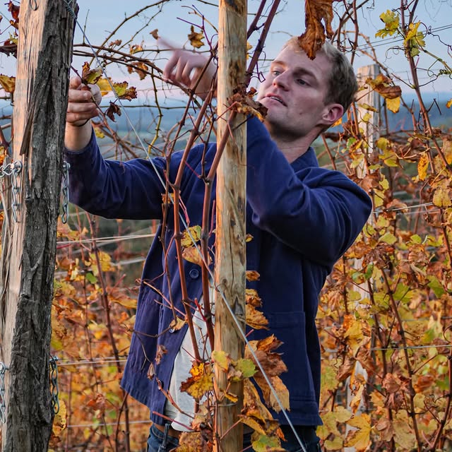 Post by littlewine.io