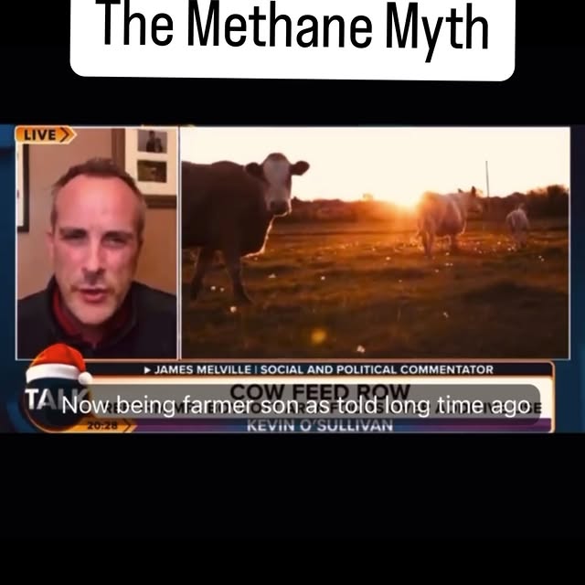 Post by theregenaissance