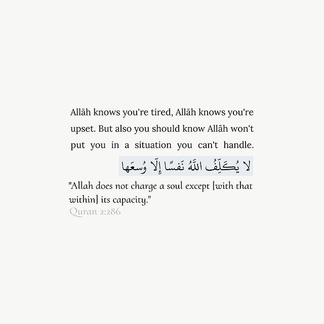 Post by devoutedmuslim