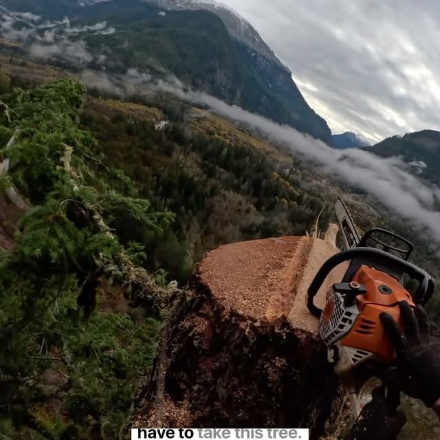 Post by benoftheforest