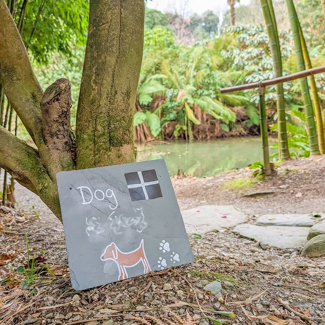 Post by trebahgardencornwall