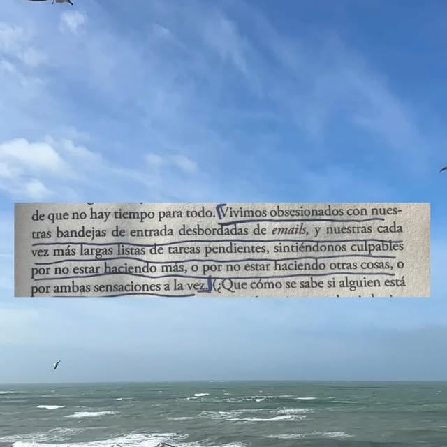 Post by agencia_lavecina