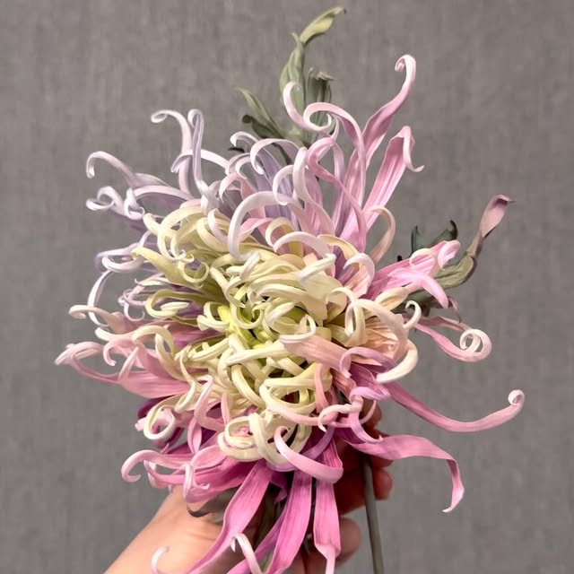 Post by anna_yuminova