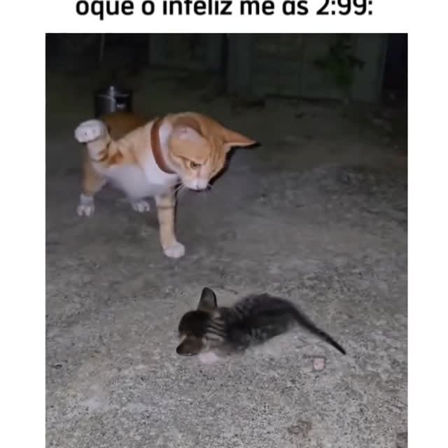 Post by gu1lh3rme_jesus