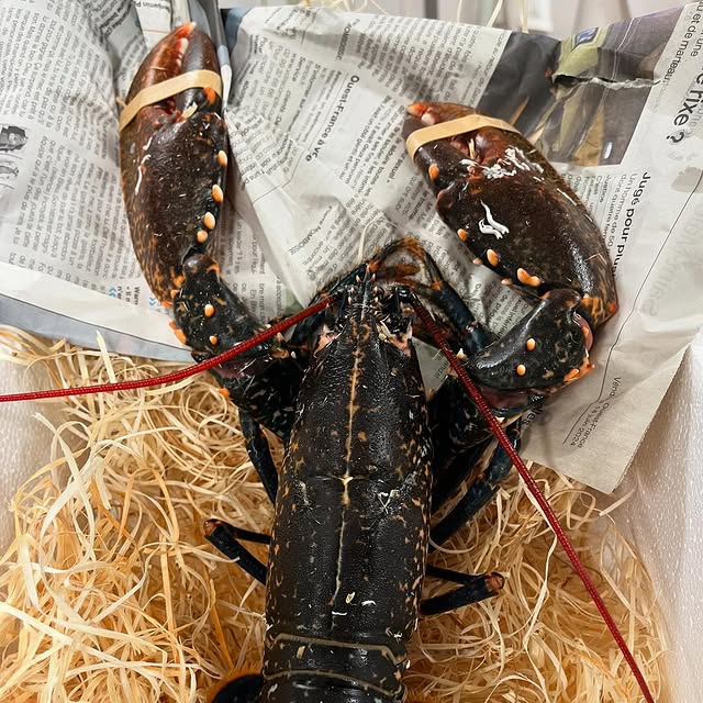 Post by restaurantmaceo