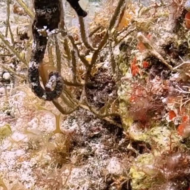 Post by brett_hoelzer