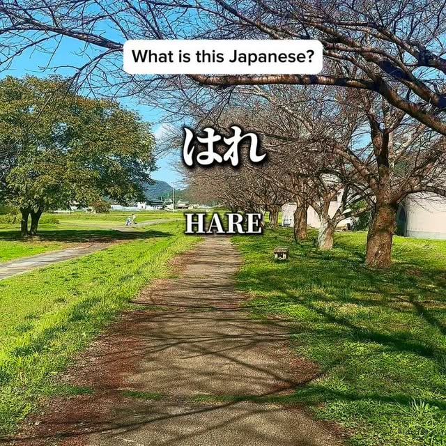 Post by tokyoexperiences