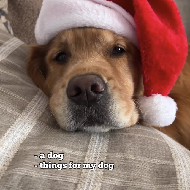 Post by bowen_thegolden