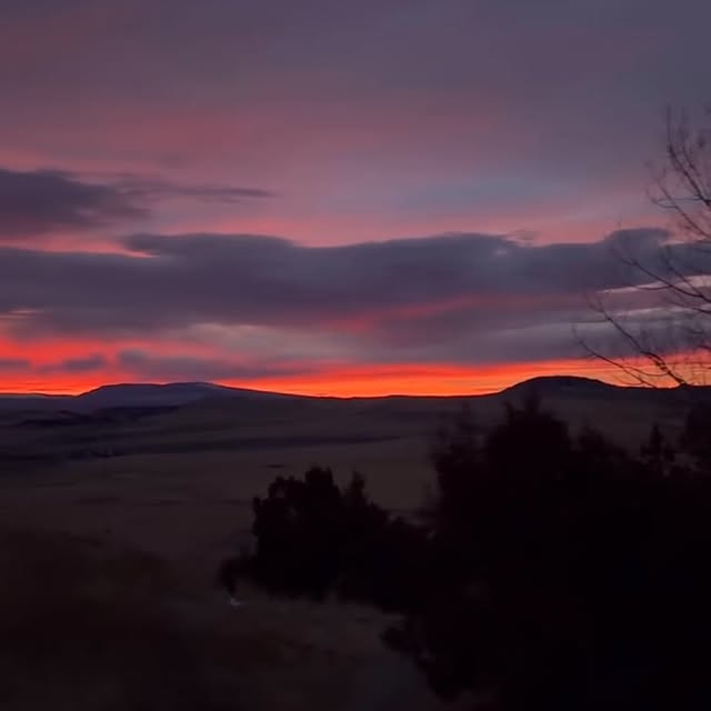 Post by stenewoodwork