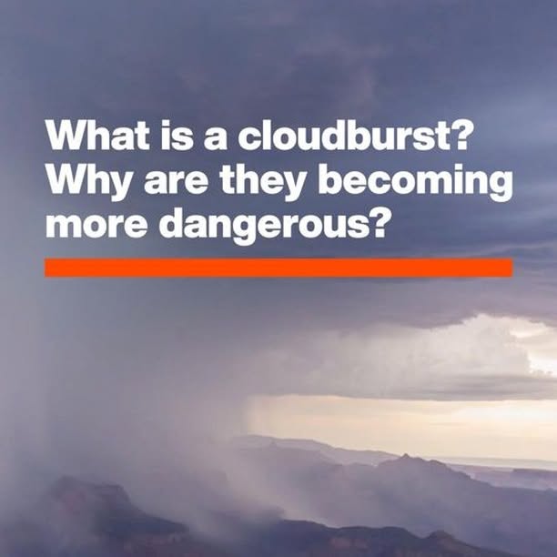 Post by worldeconomicforum