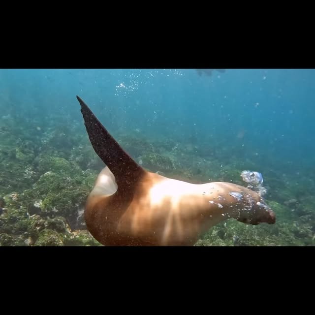 Post by michaels_bubbles