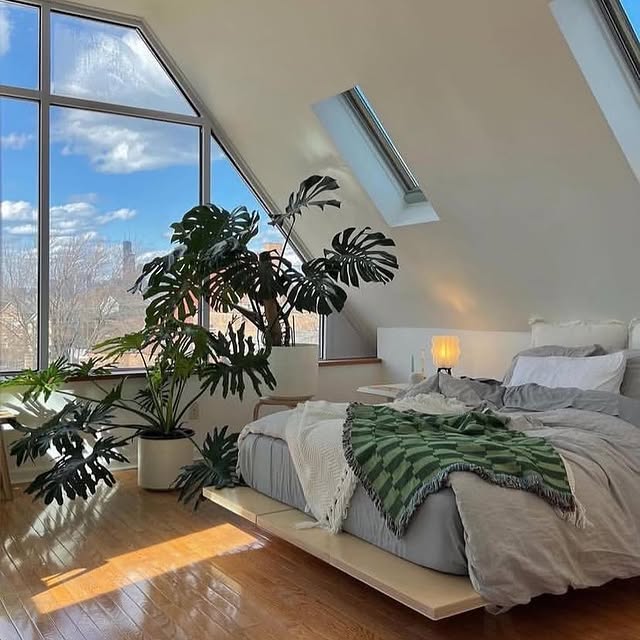 Post by theroomdecor_