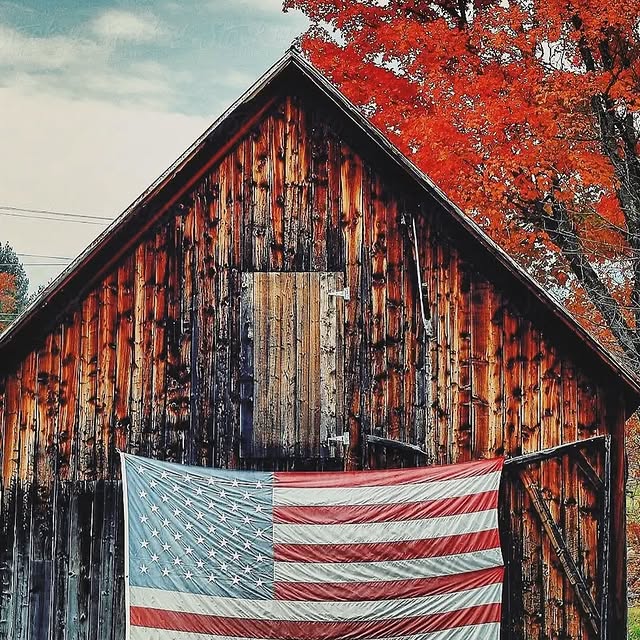 Post by fast_eddies_wild_hopper