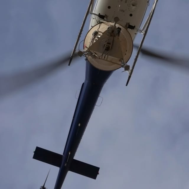 Post by nevada_fuels