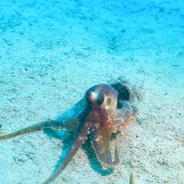 Post by chishimamurakami