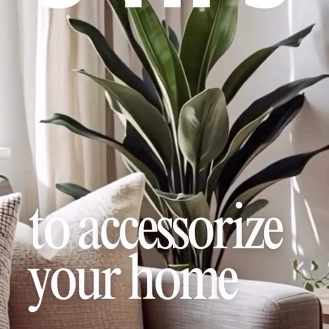 Post by arcsurfaces.co