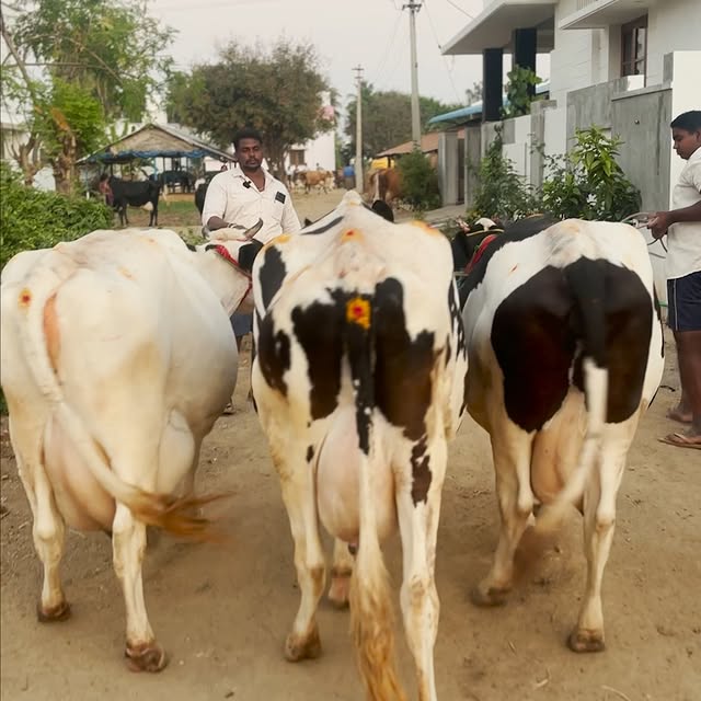 Post by farmingbusiness2020